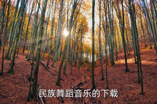 民族舞蹈音乐的下载
