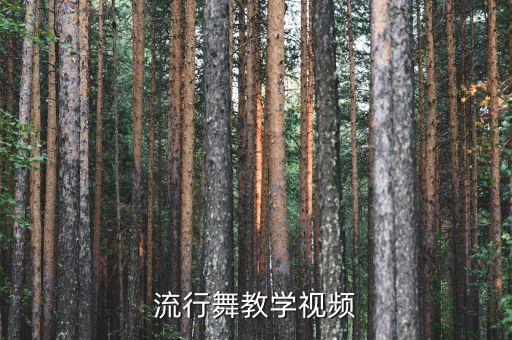 流行舞教学视频