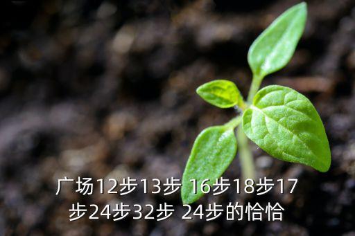 广场12步13步 16步18步17步24步32步 24步的恰恰