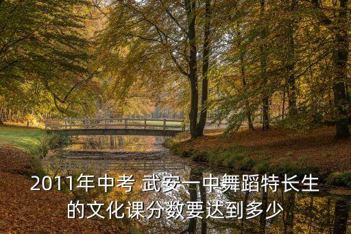 2011年中考 武安一中舞蹈特长生的文化课分数要达到多少