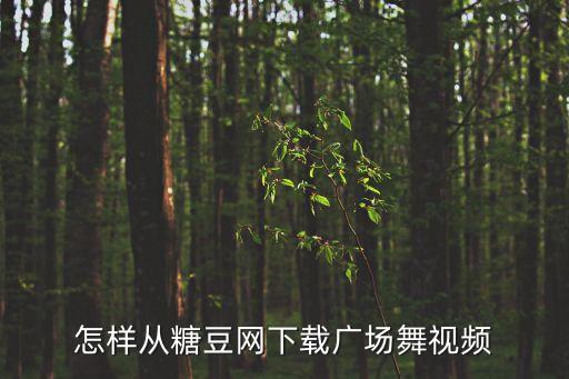 怎样从糖豆网下载广场舞视频