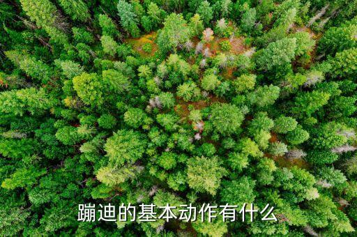 蹦迪的基本动作有什么