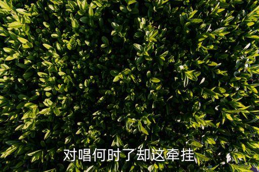 何时了却这牢挂歌曲怎么唱，求歌曲何时了却这牵挂演唱张怡诺 MP3