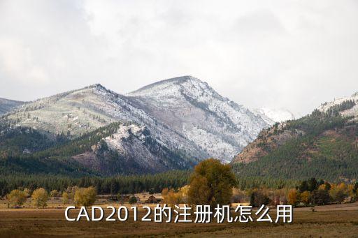 酒醉的蝴蝶32步广场舞完整版，CAD2012的注册机怎么用