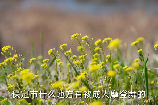 保定市什么地方有教成人摩登舞的