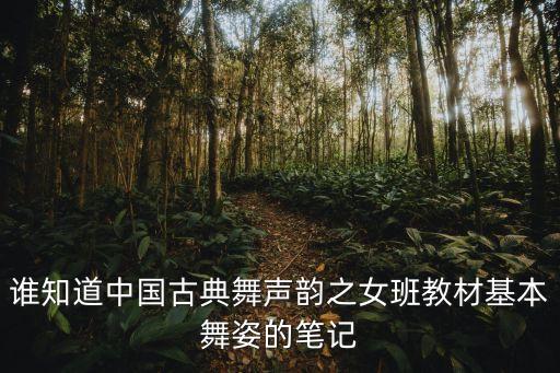 谁知道中国古典舞声韵之女班教材基本舞姿的笔记