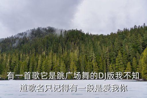 有一首歌它是跳广场舞的DJ版我不知道歌名只记得有一段是爱我你