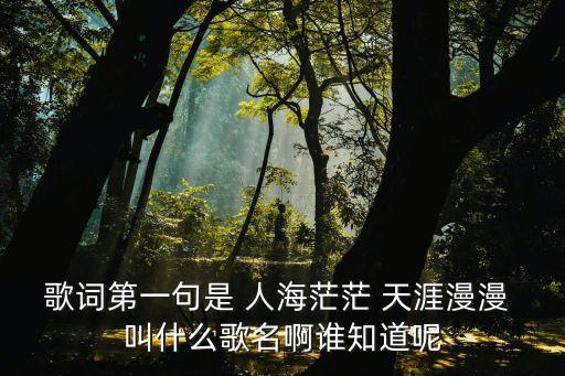 谁知道歌名高梁红脚步舞是多少步，歌词第一句是 人海茫茫 天涯漫漫 叫什么歌名啊谁知道呢