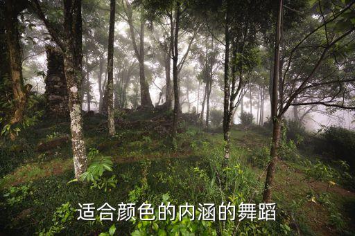适合颜色的内涵的舞蹈