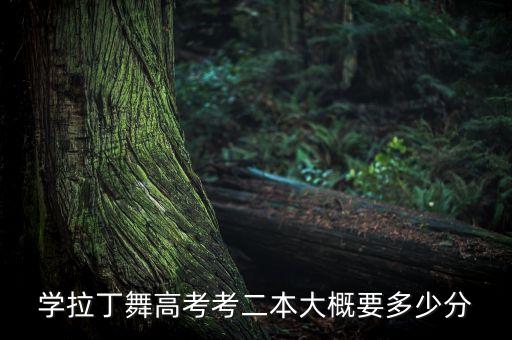 学拉丁舞高考考二本大概要多少分
