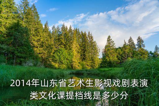 2014年山东省艺术生影视戏剧表演类文化课提档线是多少分