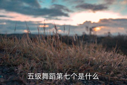 五级舞蹈第七个是什么