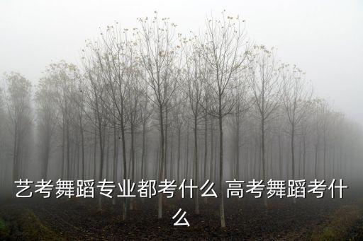 艺考舞蹈专业都考什么 高考舞蹈考什么