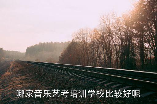 哪家音乐艺考培训学校比较好呢