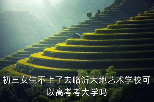 初三女生不上了去临沂大地艺术学校可以高考考大学吗