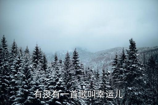 有没有一首歌叫幸运儿