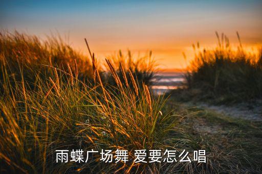 雨蝶广场舞 爱要怎么唱