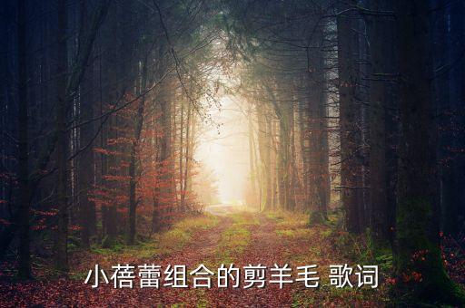 小蓓蕾组合的剪羊毛 歌词