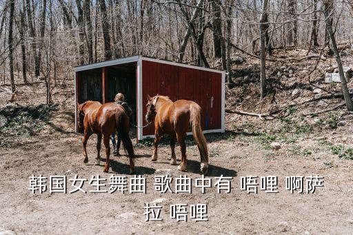 韩国女生舞曲 歌曲中有 唔哩 啊萨拉 唔哩