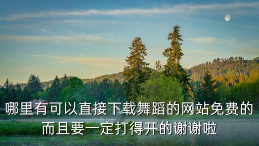 你哪里走舞蹈下载，哪里有可以直接下载舞蹈的网站免费的而且要一定打得开的谢谢啦