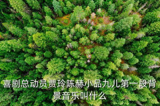 九儿舞蹈讲的是什么歌，喜剧总动员贾玲陈赫小品九儿第一段背景音乐叫什么