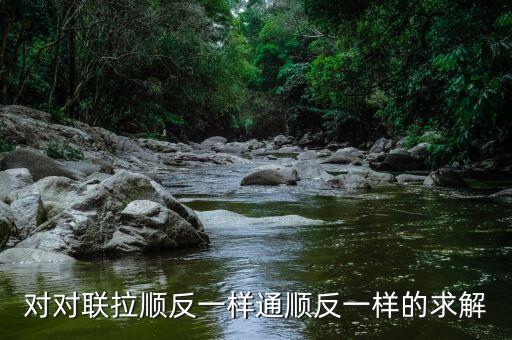 对对联拉顺反一样通顺反一样的求解