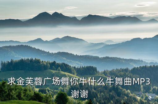 求金芙蓉广场舞你牛什么牛舞曲MP3 谢谢