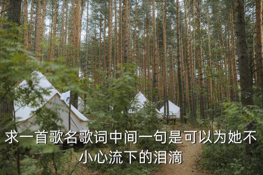 求一首歌名歌词中间一句是可以为她不小心流下的泪滴