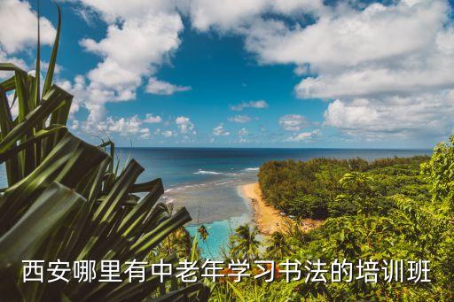 西安哪里有中老年学习书法的培训班