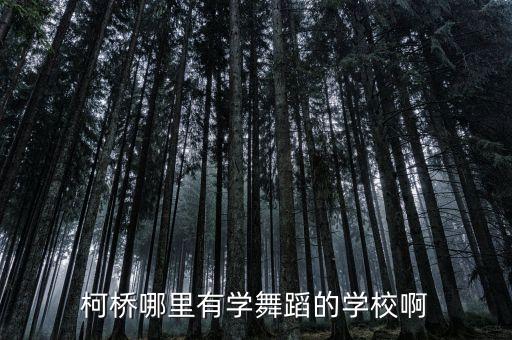 柯桥哪里有学舞蹈的学校啊