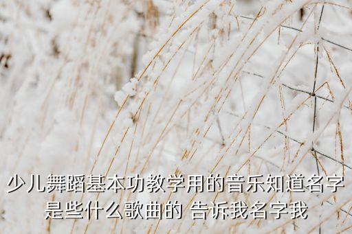 中国舞都学什么名字是什么歌，中国舞考级 第十级 傣族舞 的音乐名字叫什么