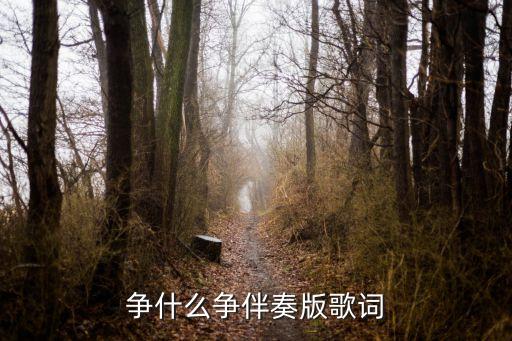 争什么争伴奏版歌词