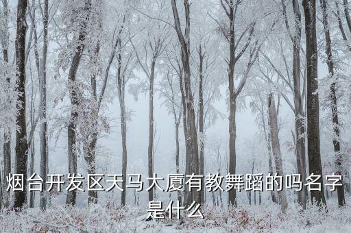 烟台开发区天马大厦有教舞蹈的吗名字是什么