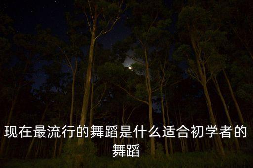 现在最流行的舞蹈是什么适合初学者的舞蹈