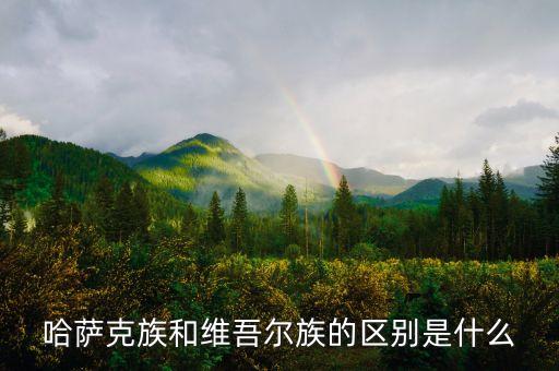 哈萨克族和维吾尔族的区别是什么