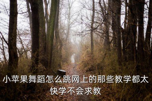 小苹果舞蹈怎么跳网上的那些教学都太快学不会求教