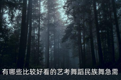 有哪些比较好看的艺考舞蹈民族舞急需