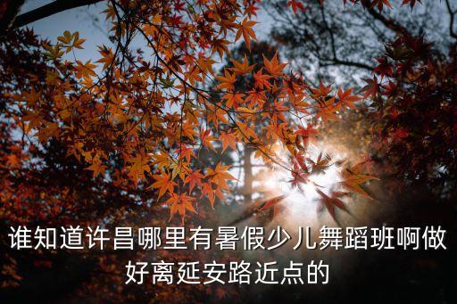 谁知道许昌哪里有暑假少儿舞蹈班啊做好离延安路近点的