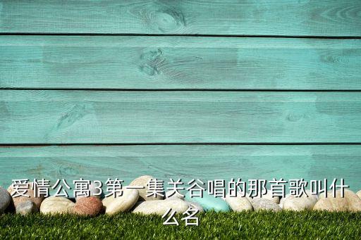 爱情公寓3第一集关谷唱的那首歌叫什么名