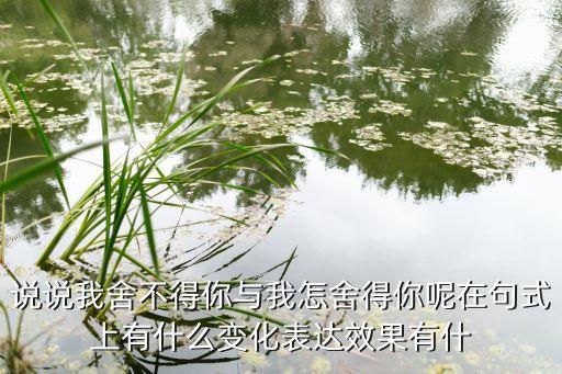 哪个舍的你美久老师，说说我舍不得你与我怎舍得你呢在句式上有什么变化表达效果有什