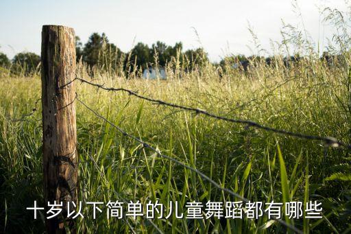 十岁以下简单的儿童舞蹈都有哪些