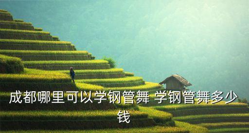 成都舞蹈培训班费用是多少费用，成都艺考培训怎么收费