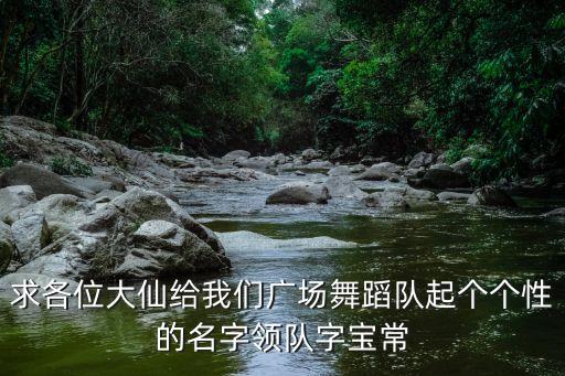 求各位大仙给我们广场舞蹈队起个个性的名字领队字宝常