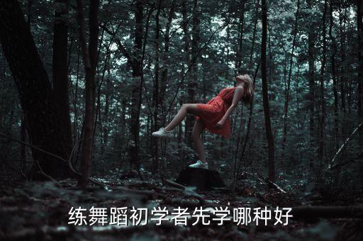 练舞蹈初学者先学哪种好