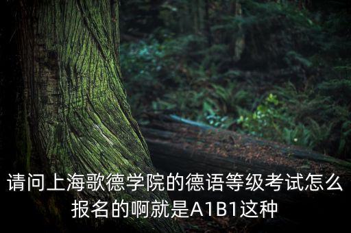 歌德考试报名，请问上海歌德学院的德语等级考试怎么报名的啊就是A1B1这种