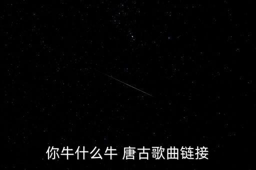 你牛什么牛 唐古歌曲链接