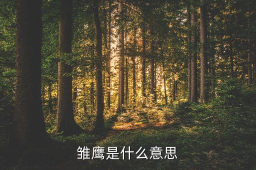 雏鹰是什么意思
