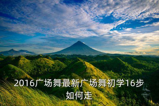 简单的广场舞初学者视频慢动作，2016广场舞最新广场舞初学16步如何走