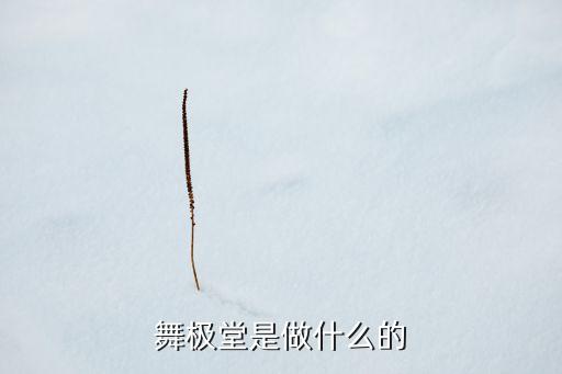舞极堂是做什么的