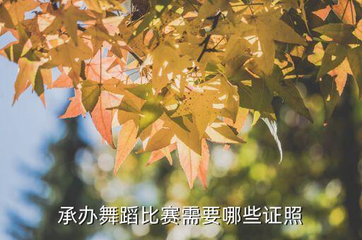 承办舞蹈比赛需要哪些证照